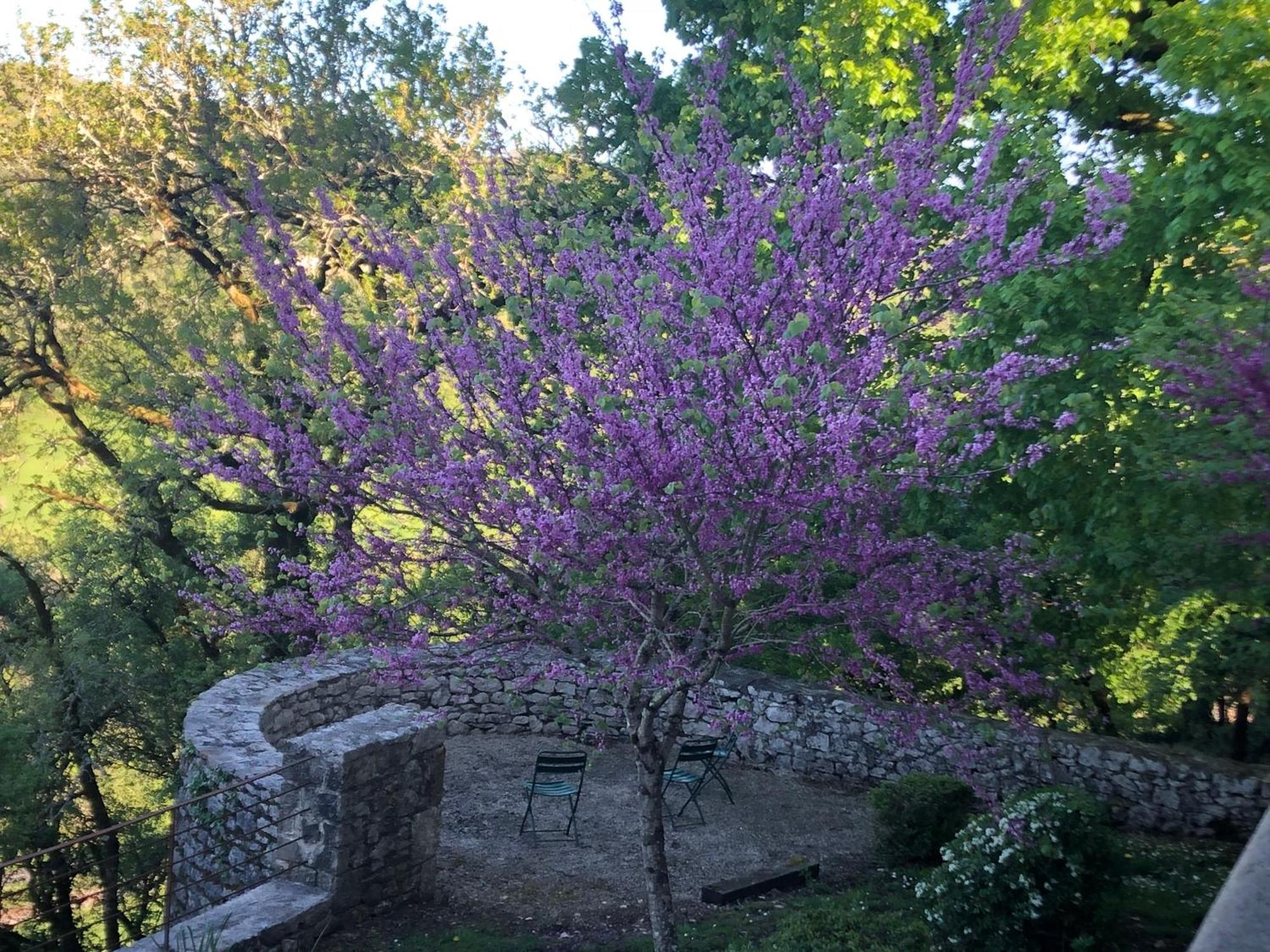 מרטל Chateau De Termes מראה חיצוני תמונה